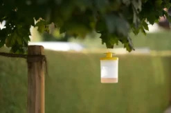 cit Fliegenfalle FlyCage3