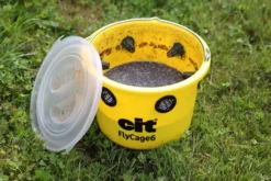 cit Fliegenfalle FlyCage6