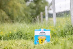cit Fliegenfalle FlyCage6