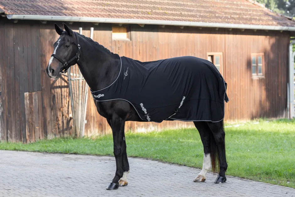 COVALLIERO Führanlagendecke RugBe
