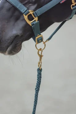 COVALLIERO Führstrick TopLine
