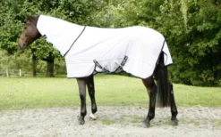 COVALLIERO Fliegendecke RugBe SuperFly
