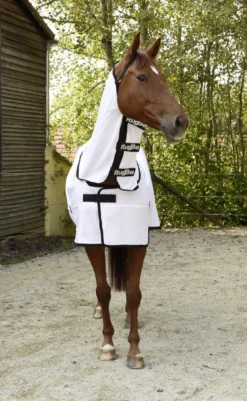 COVALLIERO Fliegendecke RugBe SuperFly