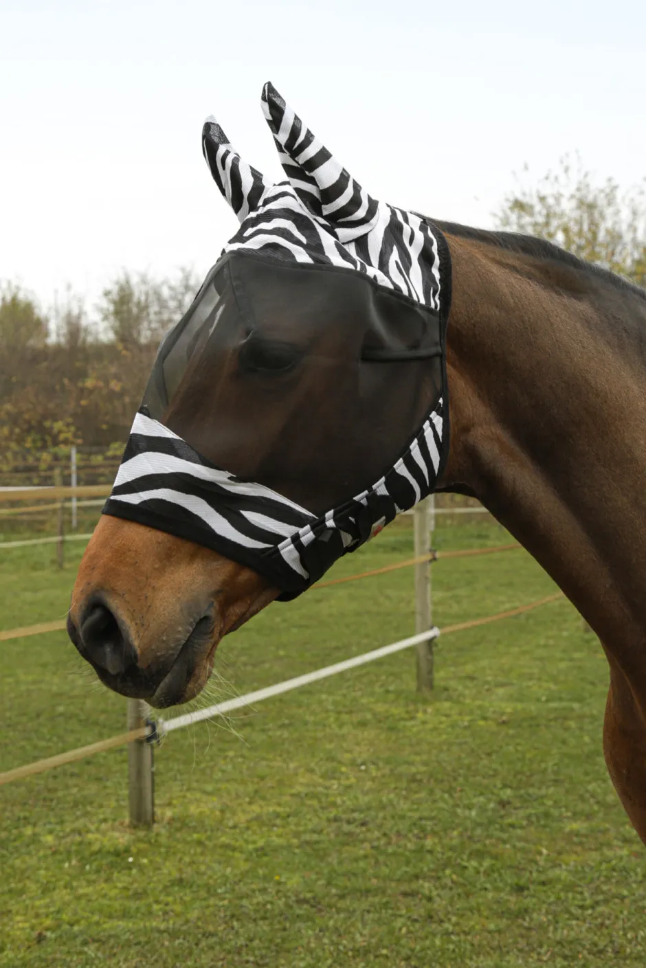 COVALLIERO Fliegenschutzmaske Zebra mit Ohrenschutz