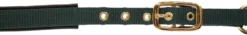 COVALLIERO Fohlenhalfter TopLine