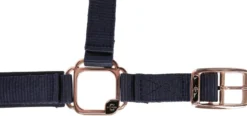 COVALLIERO Halfter Classy