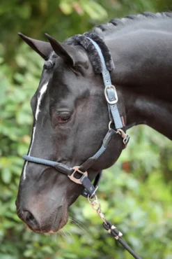COVALLIERO Halfter Cordano