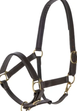 COVALLIERO Halfter Eco