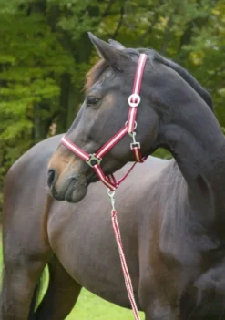 COVALLIERO Halfter Hippo