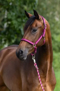 COVALLIERO Halfter Mustang