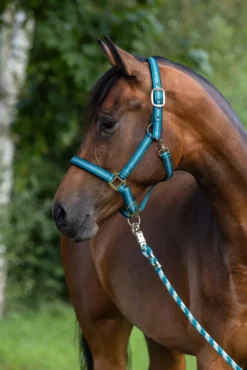 COVALLIERO Halfter Mustang