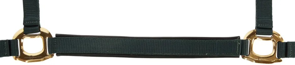 COVALLIERO Halfter TopLine