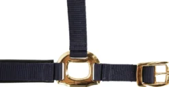 COVALLIERO Halfter TopLine