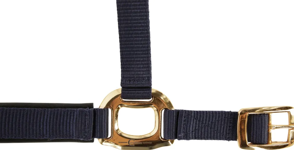 COVALLIERO Halfter TopLine