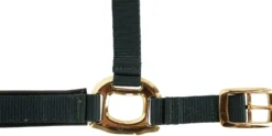 COVALLIERO Halfter TopLine