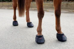 COVALLIERO Hufschuh