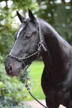 COVALLIERO Knotenhalfter