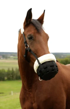 COVALLIERO Maulkorb Teddyfleece