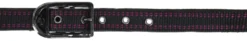 COVALLIERO Pferdehalfter Royal