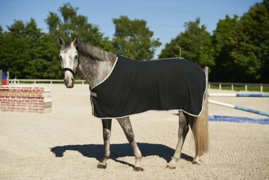 COVALLIERO RugBe Economic - Fleecedecke