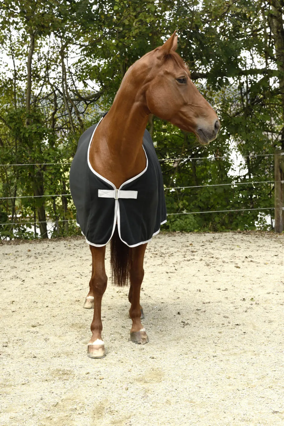 COVALLIERO RugBe Economic - Fleecedecke