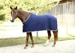 COVALLIERO RugBe Economic - Fleecedecke