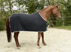 COVALLIERO RugBe Economic - Fleecedecke