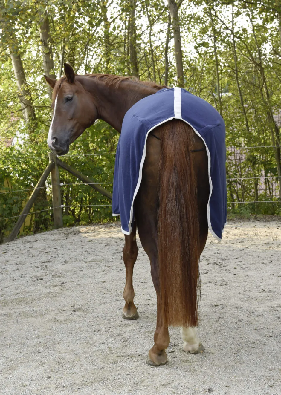 COVALLIERO RugBe Economic - Fleecedecke