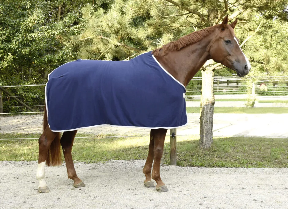 COVALLIERO RugBe Economic - Fleecedecke