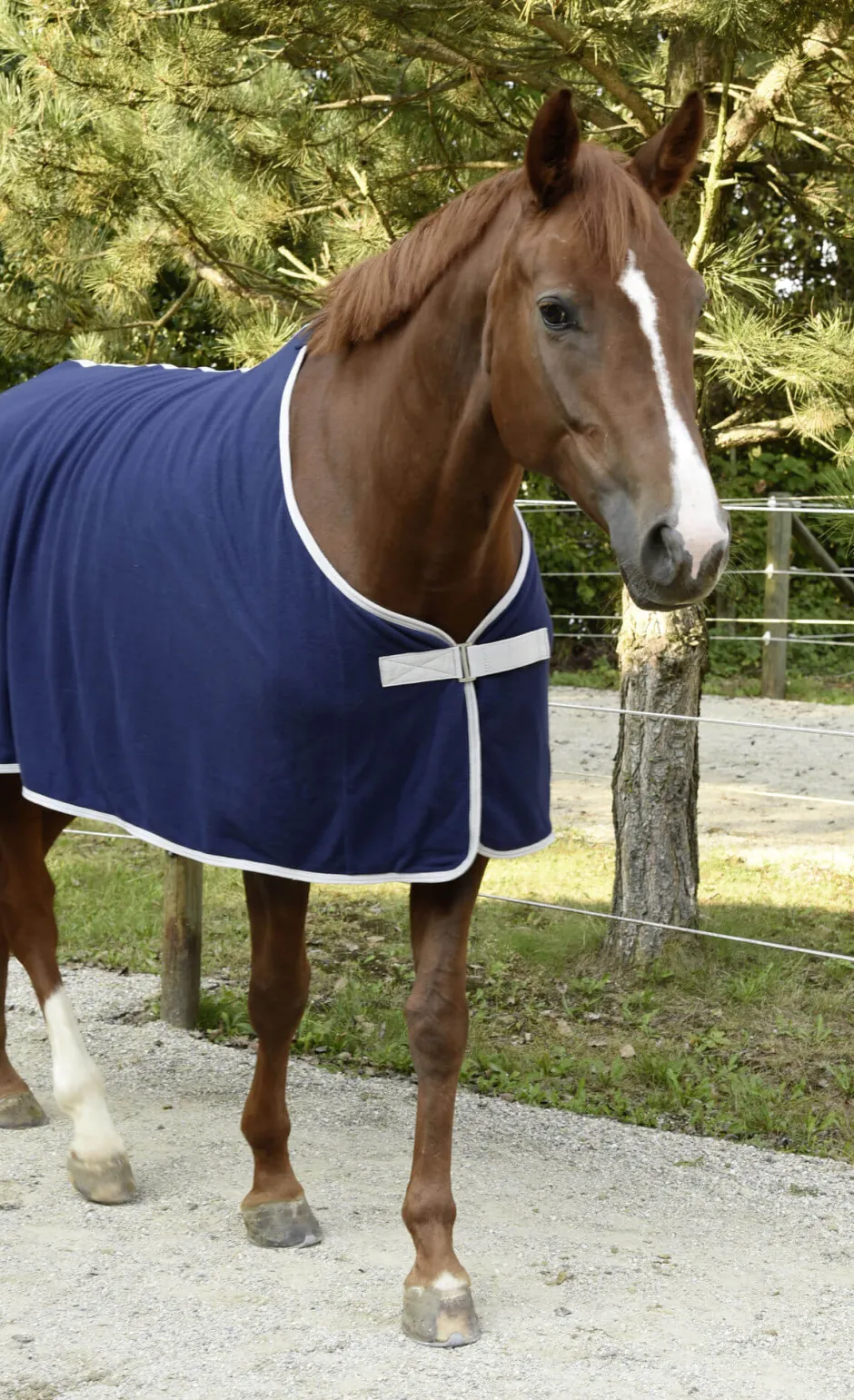 COVALLIERO RugBe Economic - Fleecedecke