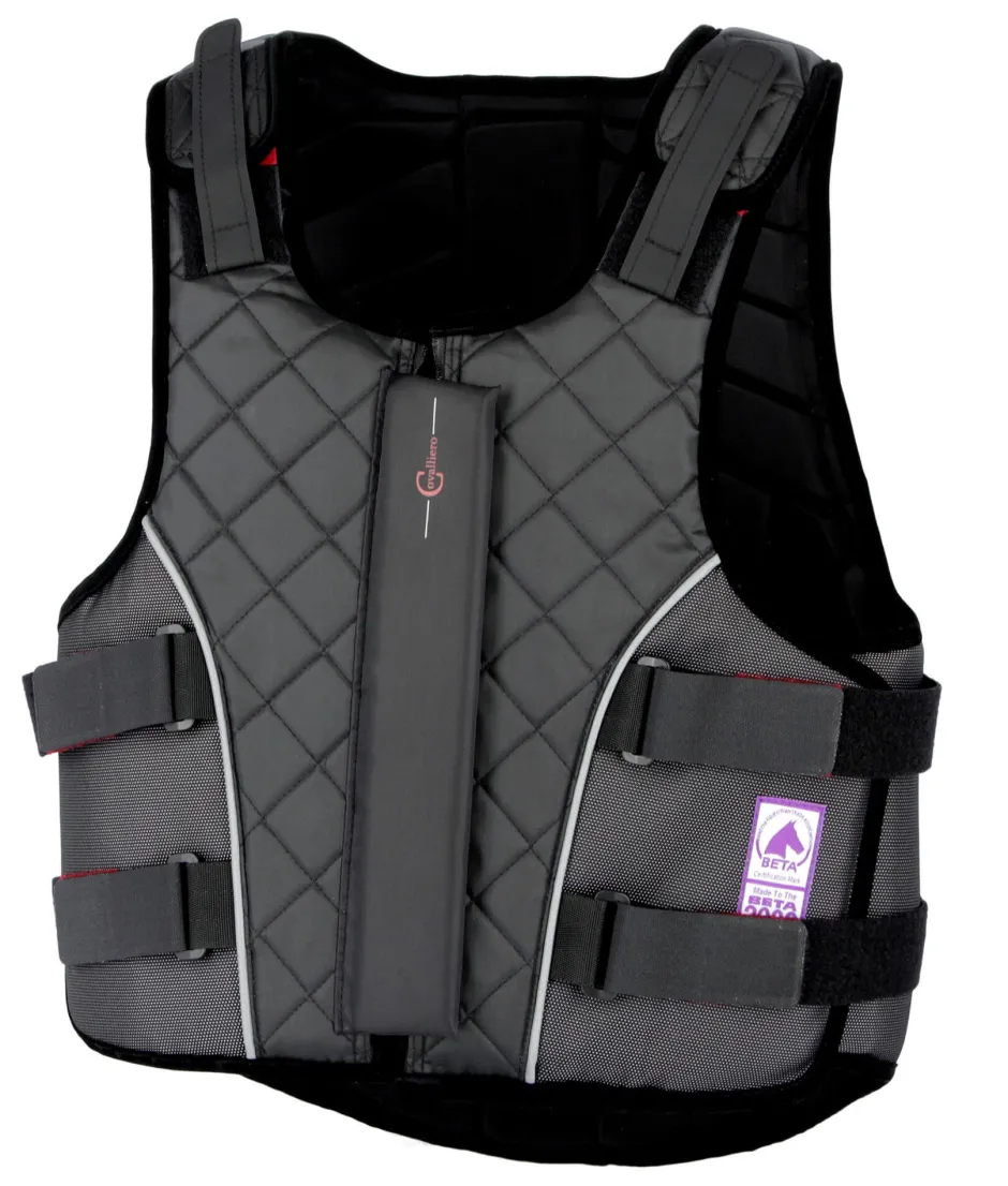 COVALLIERO Sicherheitsweste ProtectoFlex light 315 BETA