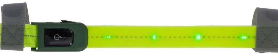 COVALLIERO Stirnriemen LED