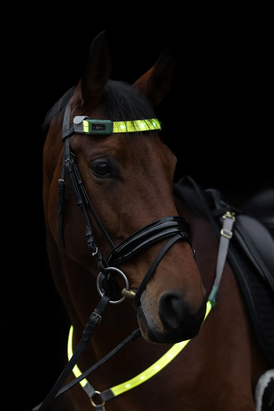 COVALLIERO Stirnriemen LED