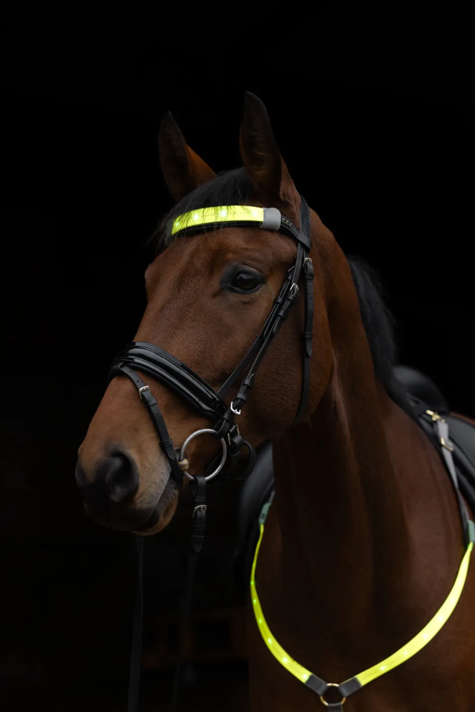 COVALLIERO Stirnriemen LED