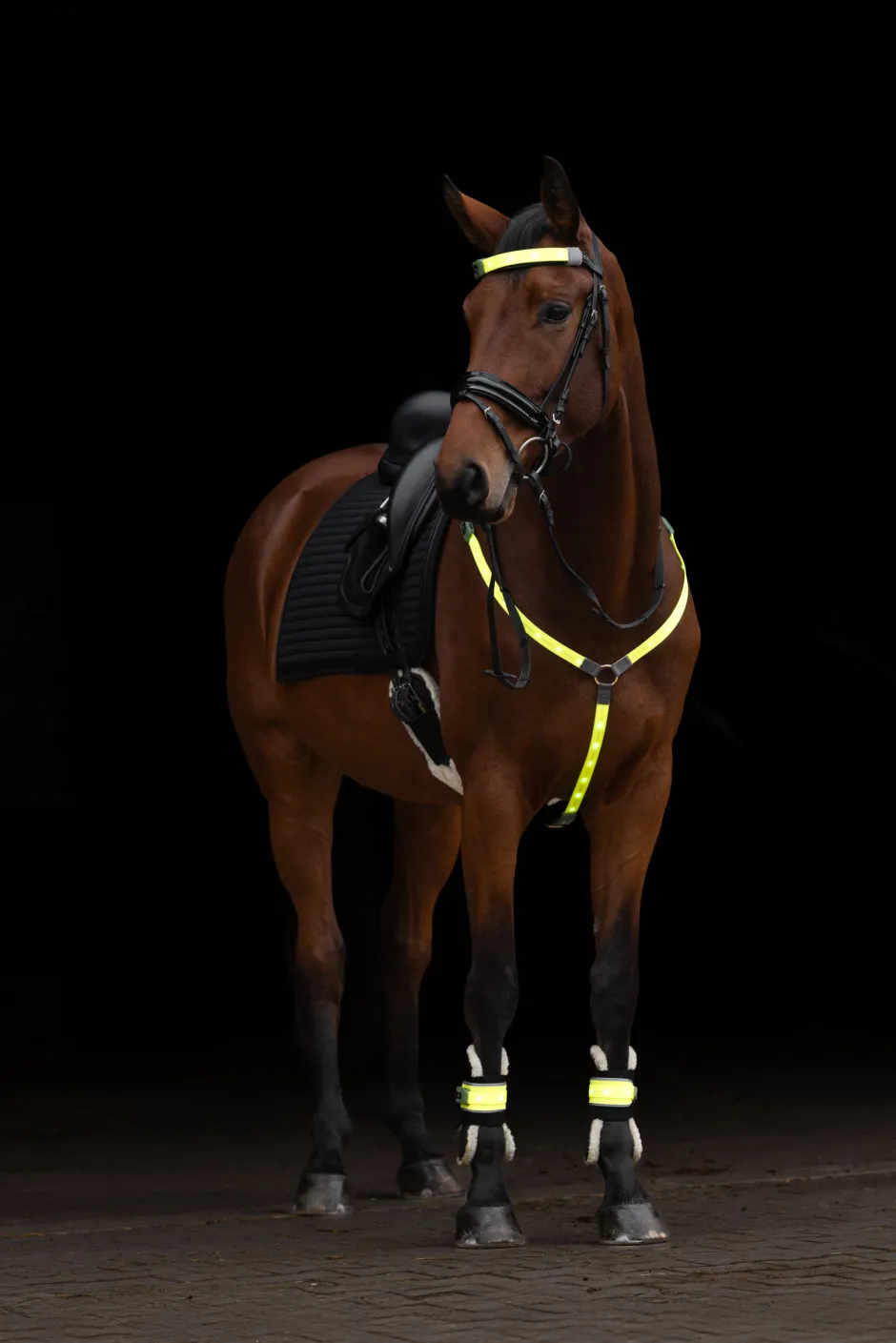 COVALLIERO Stirnriemen LED