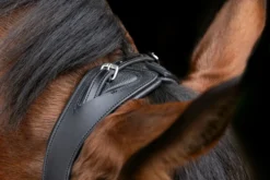 COVALLIERO Trensenzaum Anatomic