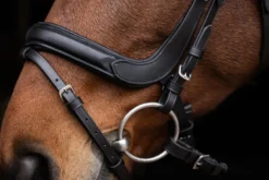 COVALLIERO Trensenzaum Anatomic