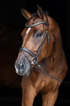 COVALLIERO Trensenzaum Clincher
