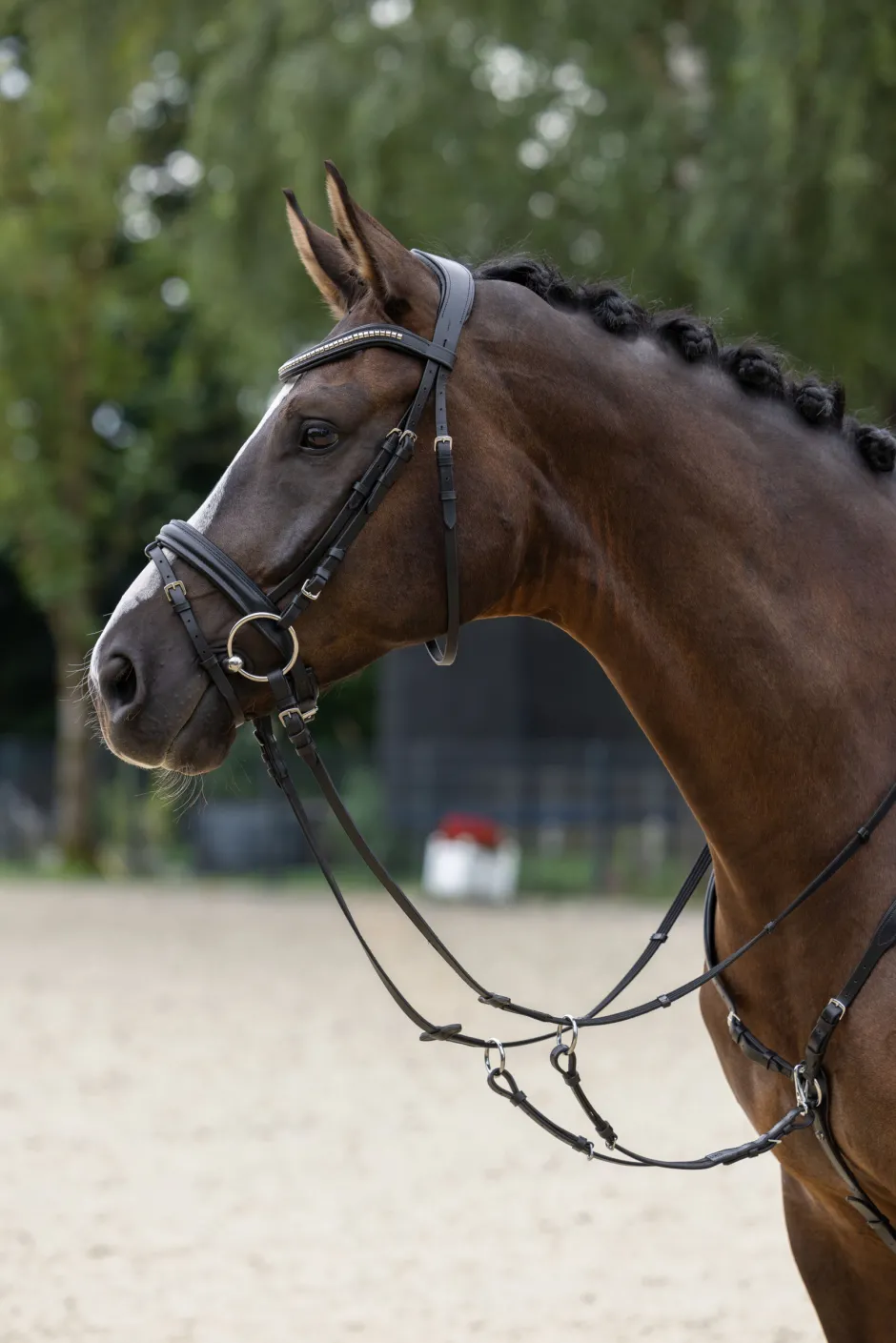 COVALLIERO Trensenzaum Clincher