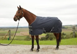 COVALLIERO Winterdecke RugBe IceProtect 300