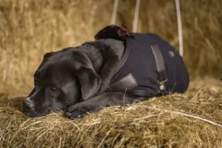 DIEGO & LOUNA Hunde-Fleecemantel Teddy