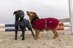 DIEGO & LOUNA Hundemantel aus Nylon Teddy