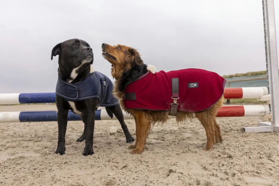DIEGO & LOUNA Hundemantel aus Nylon Teddy
