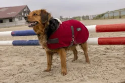 DIEGO & LOUNA Hundemantel aus Nylon Teddy