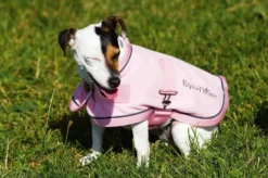 DIEGO & LOUNA „Polyfun Hundedecke