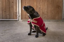 DIEGO & LOUNA „Polyfun Hundedecke
