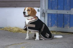 DIEGO & LOUNA „Polyfun Hundedecke