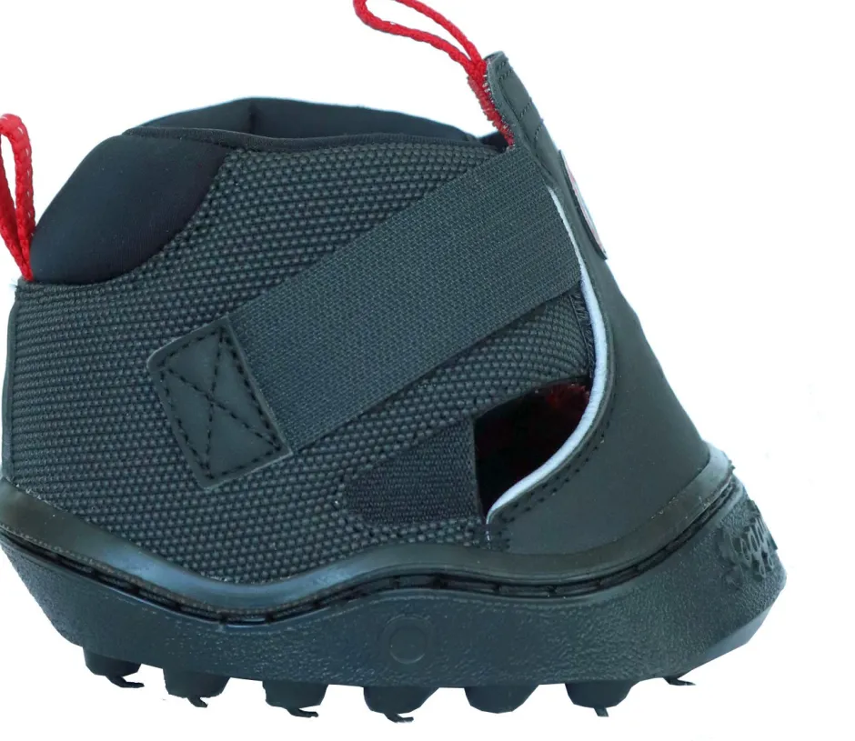EQUINE FUSION Trekking Shoe