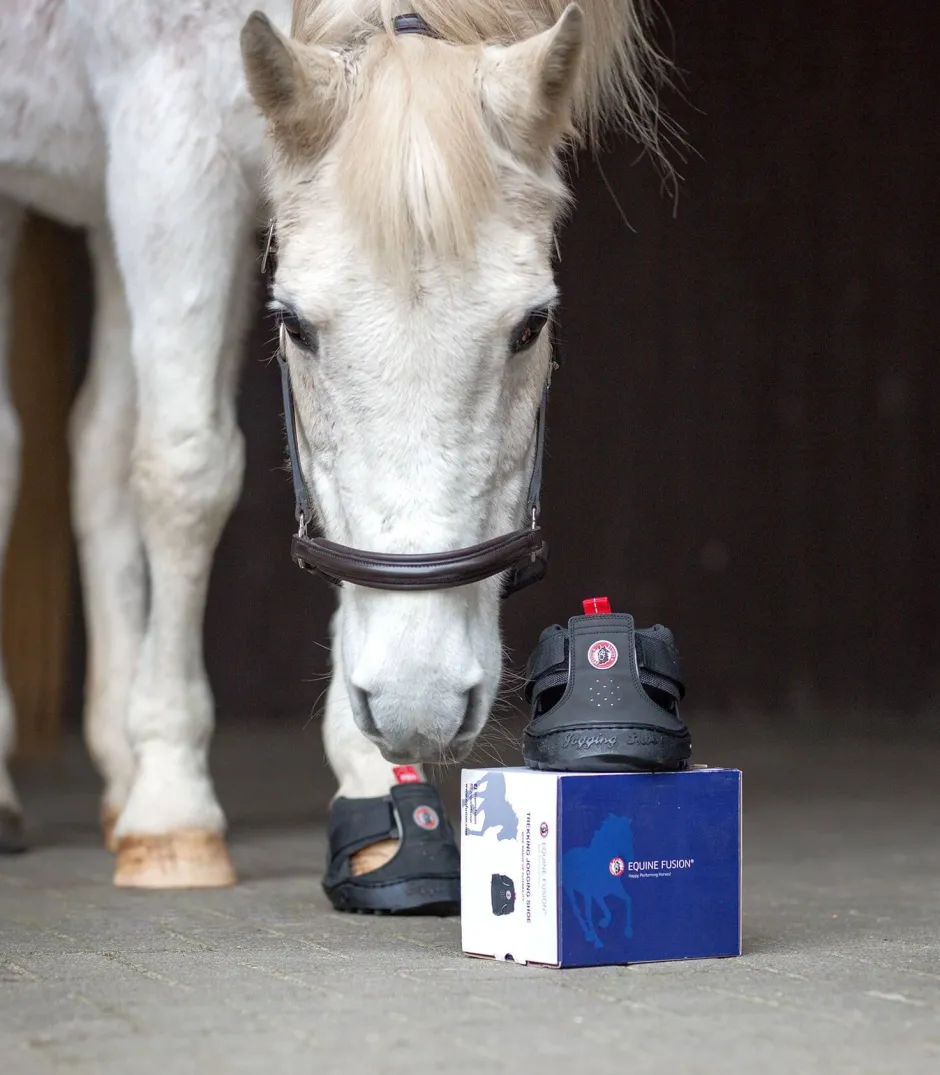 EQUINE FUSION Trekking Shoe