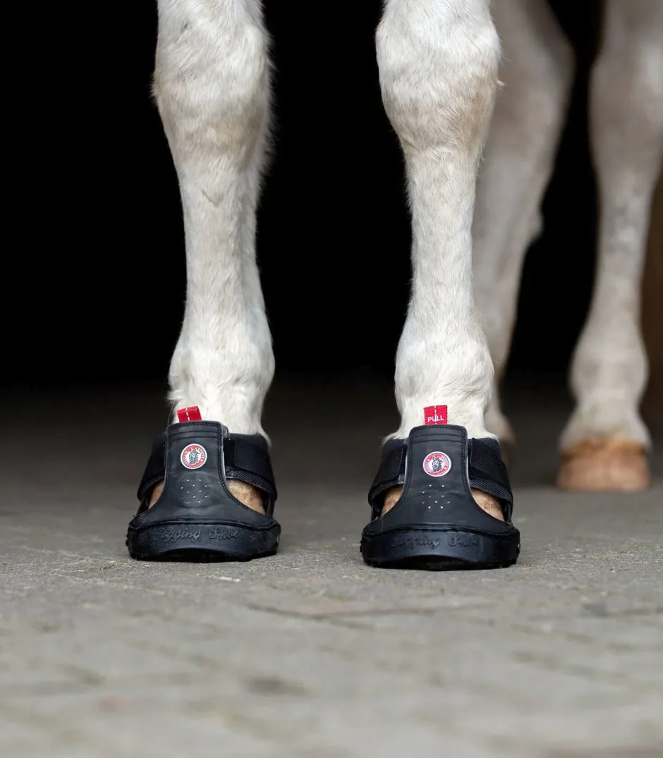 EQUINE FUSION Trekking Shoe